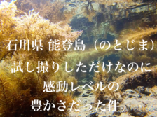 石川県 能登島（のとじま）の海を試し撮りしただけなのに 感動レベルの豊かさだった件。