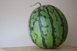 すいか・スイカ・西瓜・watermelon