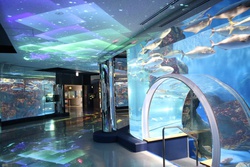 のとじま水族館・NOTOJIMA AQUARIUM