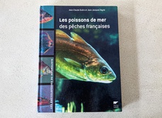 Les Poissons de mer des pêches françaises