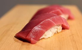 くろまぐろ・クロマグロ・黒鮪・Thunnus orientalis 