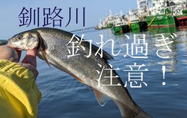 釣れ過ぎ注意！ 北海道 釧路川