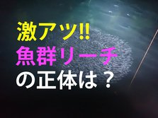 激アツ!! 魚群リーチの正体は？