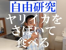 「イカをさばいて食べる」が果たして、 夏休みの自由研究になるのか実際に試してみた。