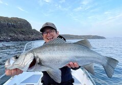 ひらすずき・ヒラスズキ・平鱸・Lateolabrax latus Katayama