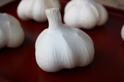 にんにく・ニンニク・garlic・Allium sativum
