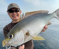 いさき・イサキ・伊佐木・Parapristipoma trilineatum