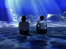 都市型水族館「AOAO Sapporo（アオアオ サッポロ）」