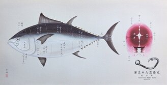 一緒にマグロしませんか？