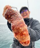 まなまこ・マナマコ・真海鼠・Apostichopus armata