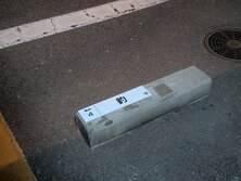 憧れ苗字。