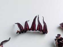 ローゼル・Hibiscus sabdariffa