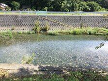 加久見川（かぐみがわ）
