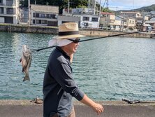 港で魚突き