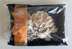 まいたけ・マイタケ・舞茸