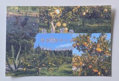 あしずり ラク・ファーム