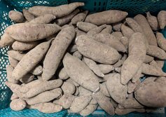 紅はるか（べにはるか・ベニハルカ）