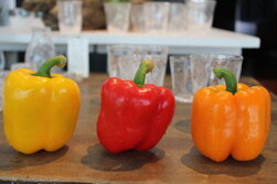 パプリカ・Capsicum annuum L. 'grossum'