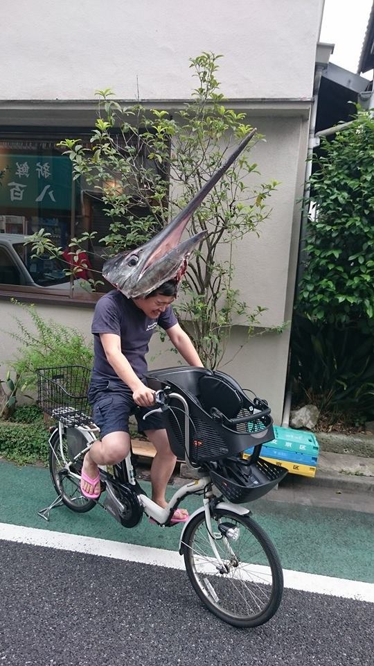 1316kajiki6035_1079998782061614_8547399031956163192_n.jpg