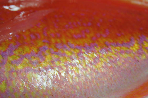 20150129160924.jpg