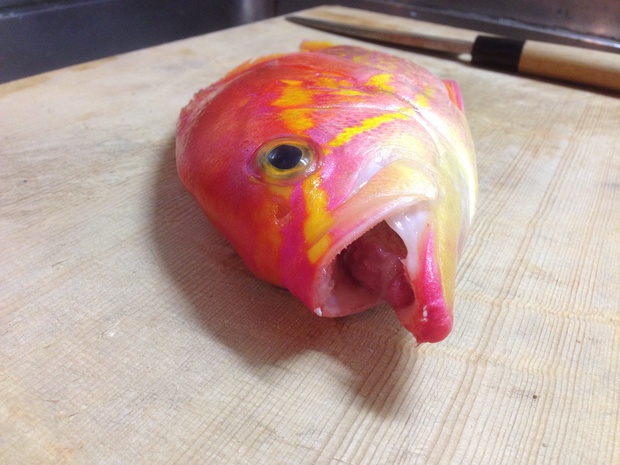 20150129161030.jpeg