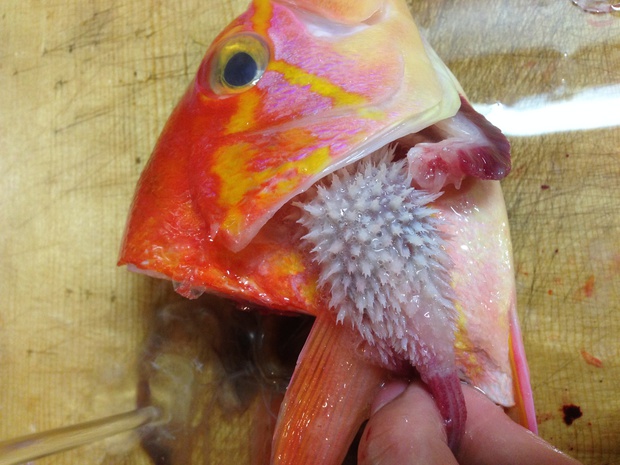 20150129161107.jpeg