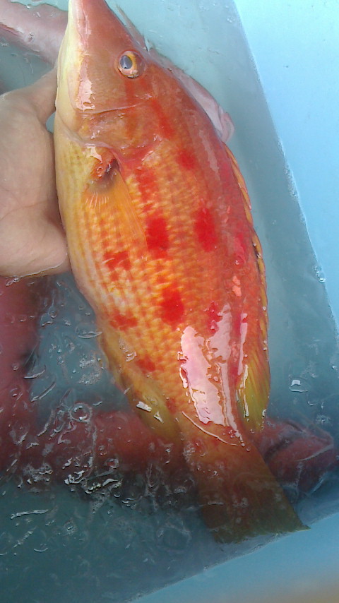 20150820222848.jpg