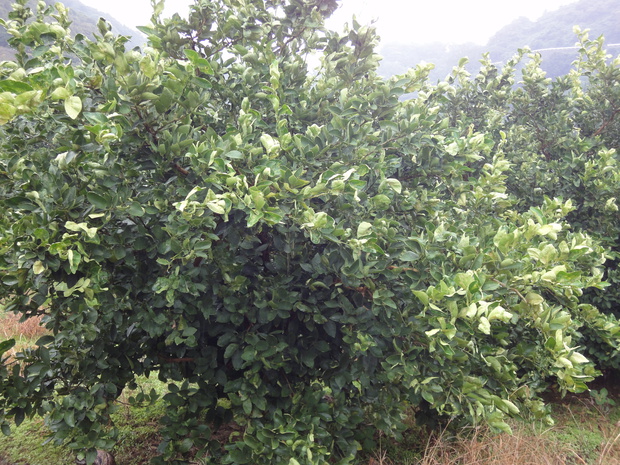 20150907104012.jpg