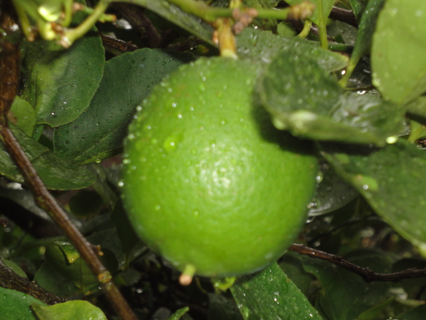 20150907104044.jpg