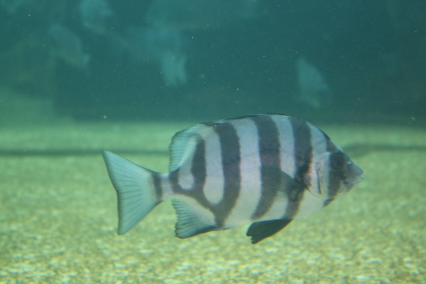 202007159400.jpg