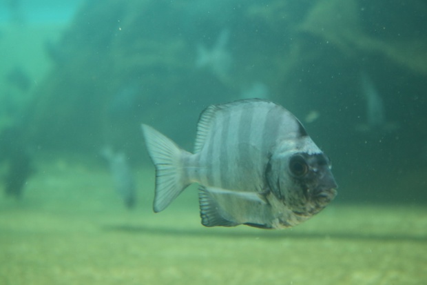 202007159401.jpg