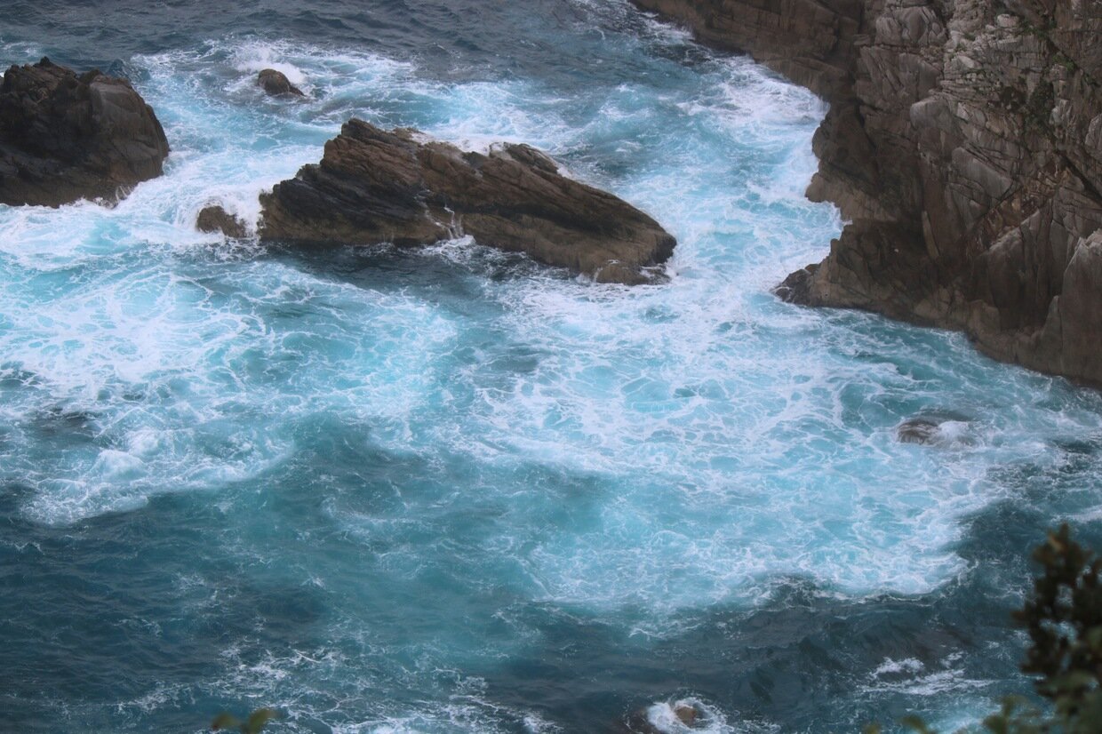 IMG_4869.jpg