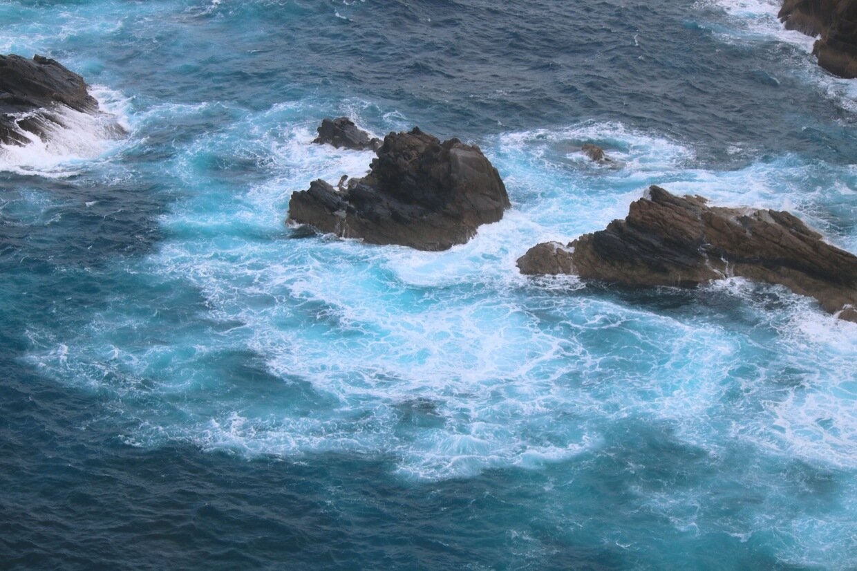 IMG_4868.jpg