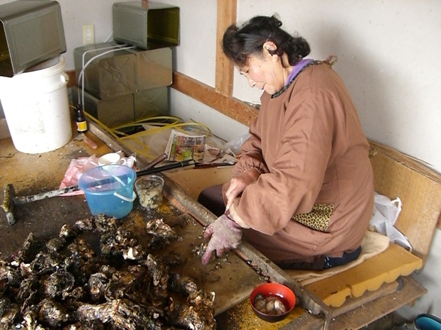 anamizuCIMG9543.jpg