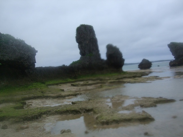 DSCF1685.jpg