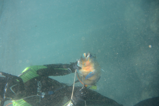 DSC_0450.jpg