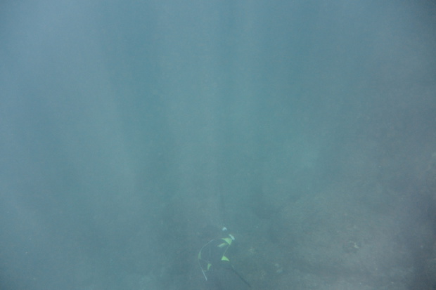 DSC_0456.jpg