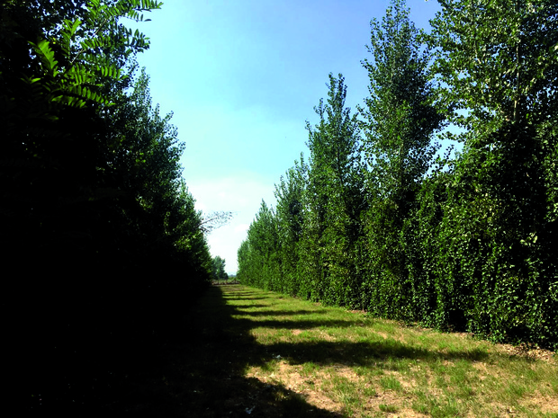 FOTO-4.jpg