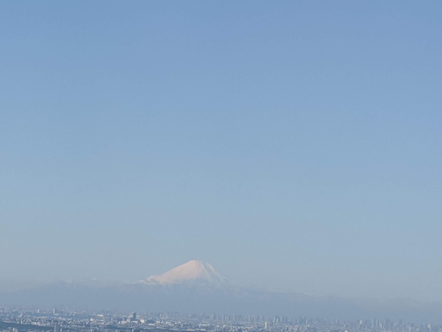 IMG_20191129_093635.jpg