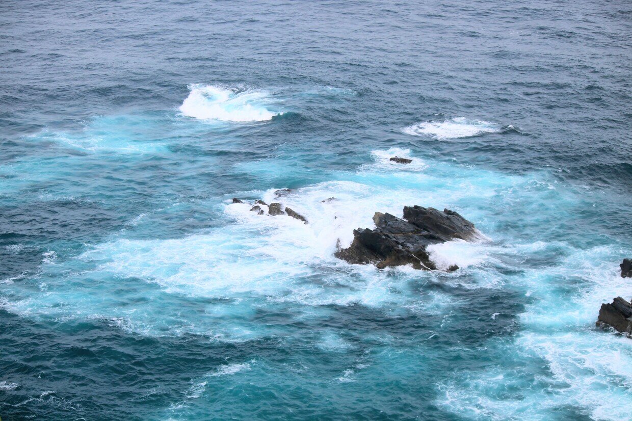 IMG_4867~2.jpg