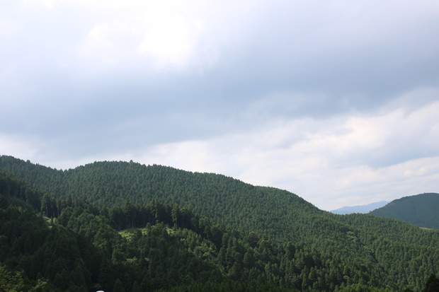 IMG_5343.jpg