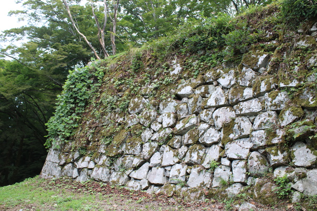 IMG_7436.jpg