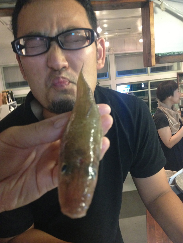 しろぎす シロギス 白鱚 Sillago Japonica ブログ 酢飯屋 文京区水道 江戸川橋にある寿司 カフェ ギャラリーの複合店