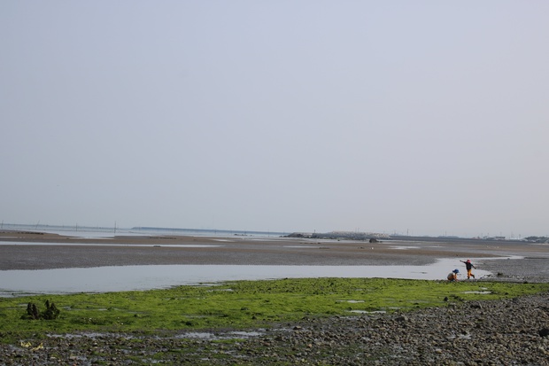 IMG_8245.jpg