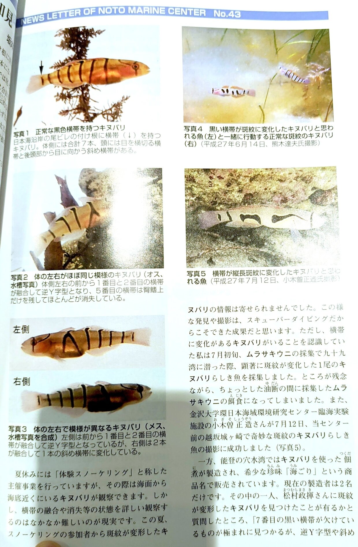 MVIMG_20200716_120745~2.jpg