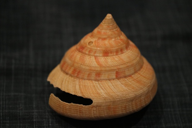 OEB04.jpg