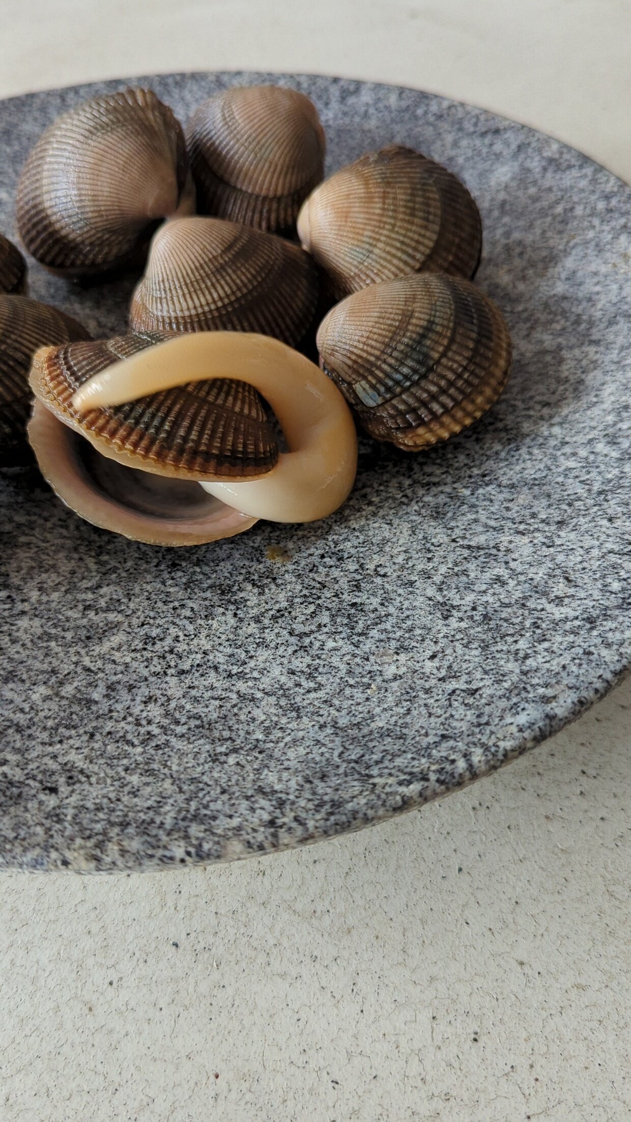 PXL_20230713_024300524.jpg