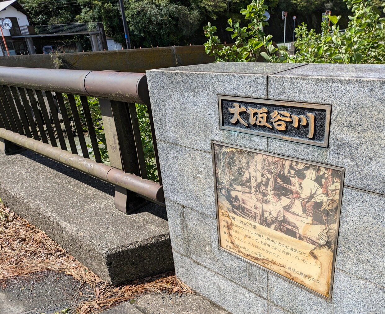 PXL_20240916_011622368.jpg