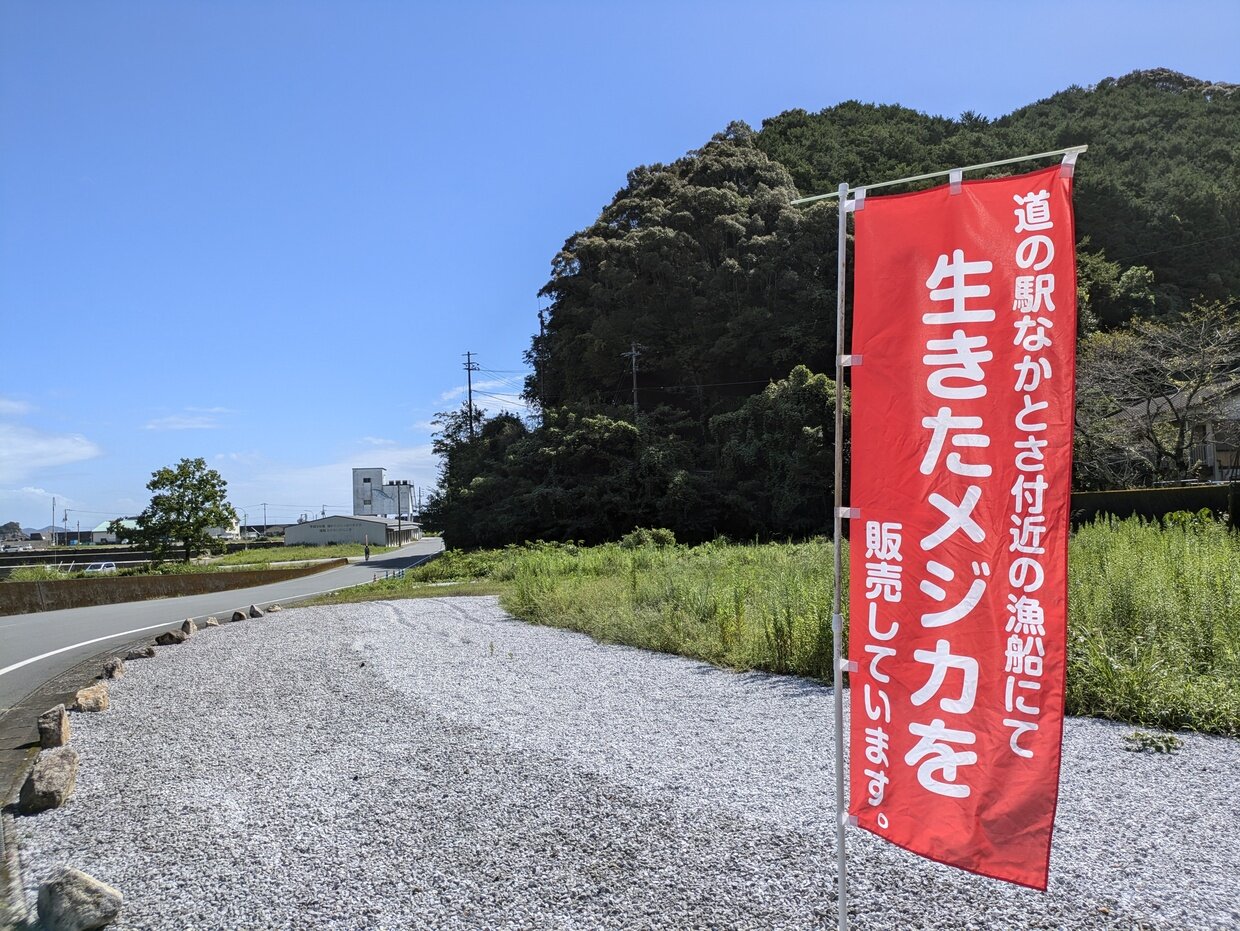 PXL_20240916_012022543.jpg
