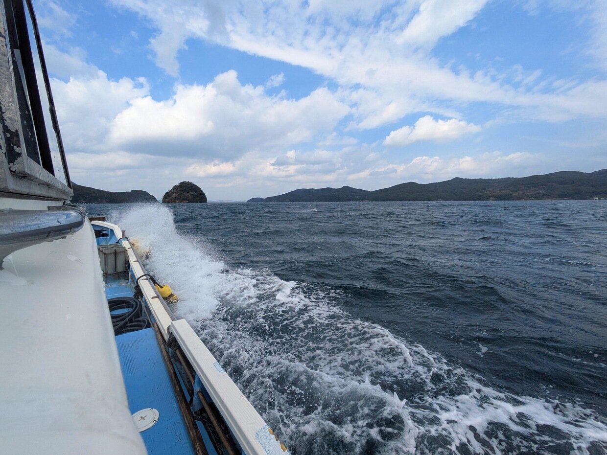 PXL_20250318_013242465.jpg
